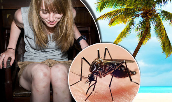 Fight the Bite: 10 Natural Remedies to Get Rid of Mosquito Bites