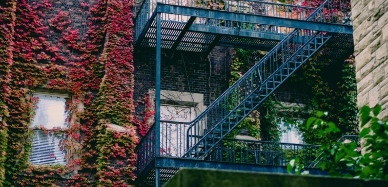 Make it Stand Out: 5 Tips on How to Grow a Splendid Vertical Garden in Your Home