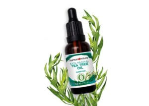 Tea Tree Oil 