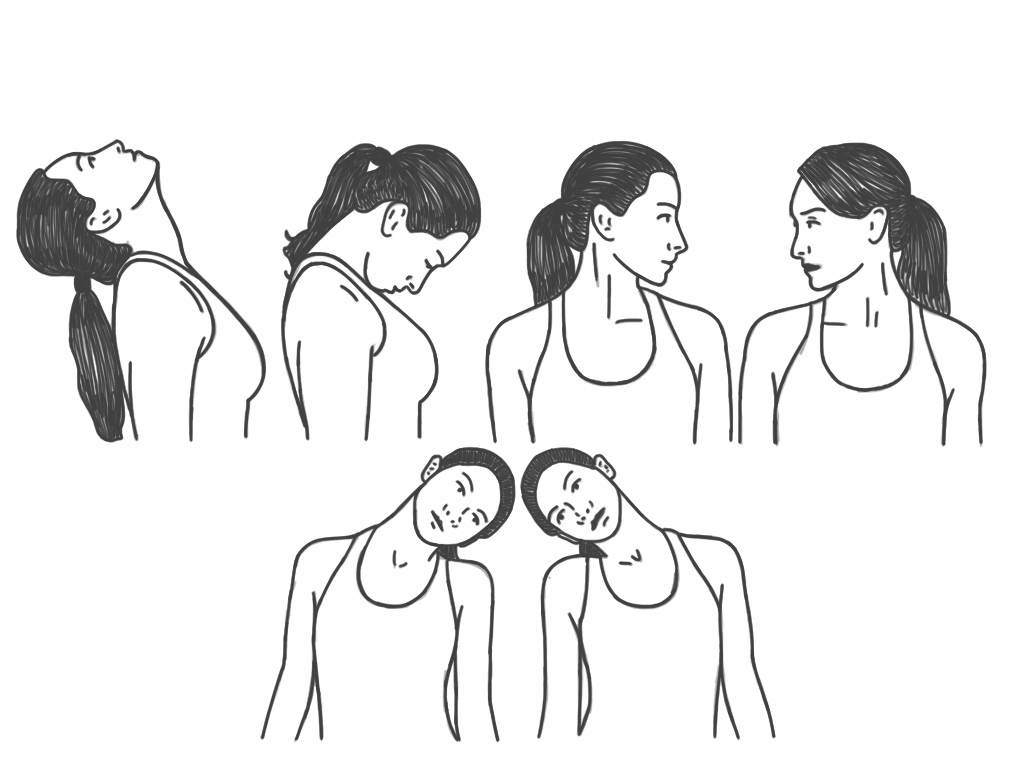 Neck rotation