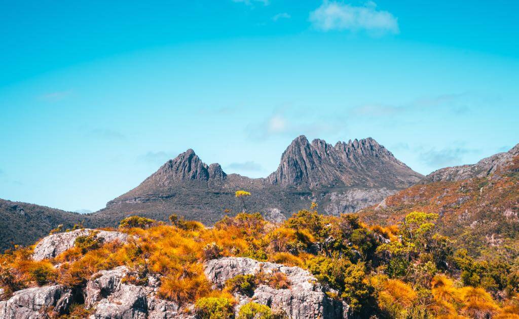 Tasmania hiking track