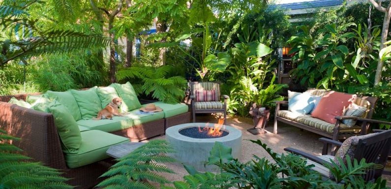 7 Backyard Decoration Ideas To Spruce Up Your Garden