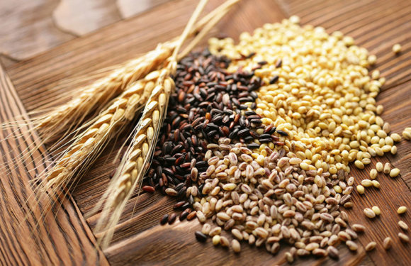 Black Wheat: Health Benefits and Practical Uses