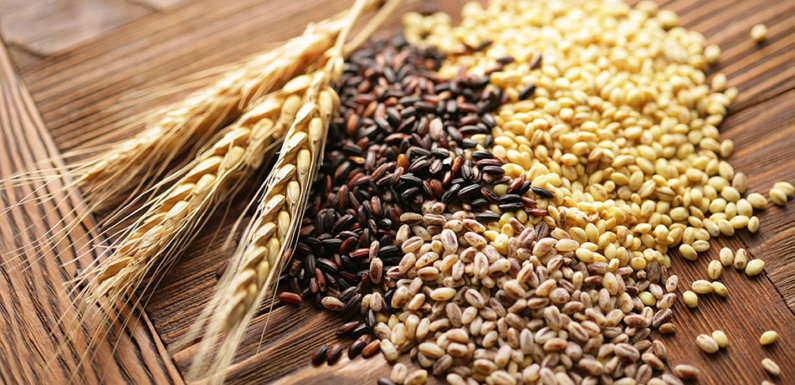 Black Wheat: Health Benefits and Practical Uses