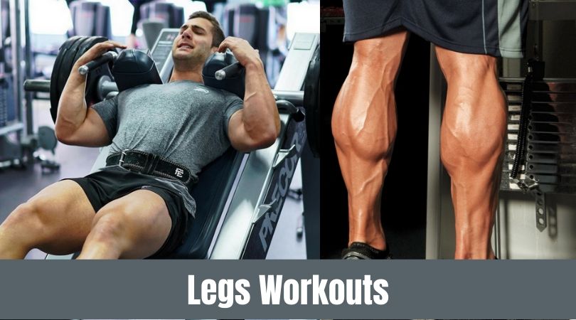 Legs Workouts